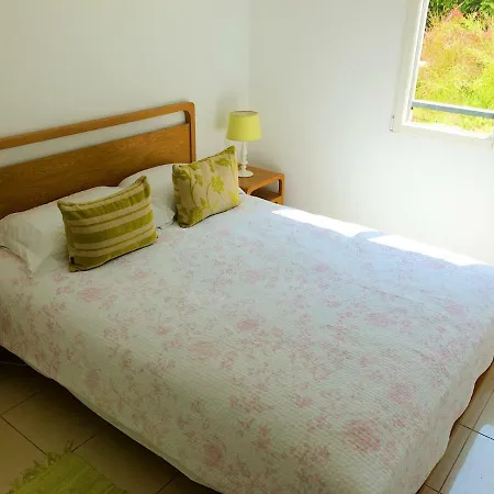 Les Pins Chic With Shared Pool And Shady Terrace Apartment
